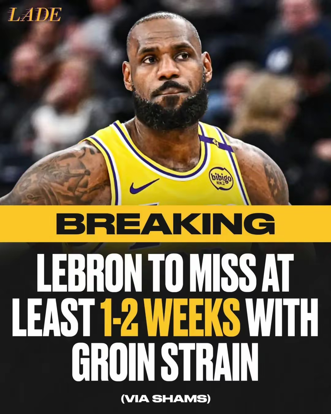 随机詹姆斯新星高光表现表现惊艳，掘金未来可期！的简单介绍